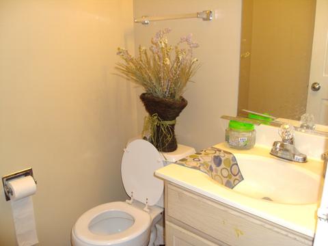 14160 S Longview Ln, Plainfield, IL 60544 photo 6