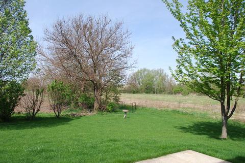 14100 Meadow Ln, Plainfield, IL 60544 photo 24