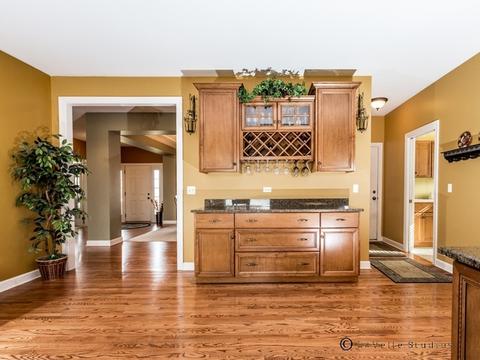 14100 Meadow Ln, Plainfield, IL 60544 photo 8