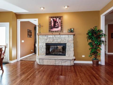 14100 Meadow Ln, Plainfield, IL 60544 photo 9
