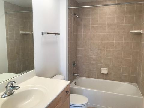 1277 E Thacker St #501, Des Plaines, IL 60016 photo 13