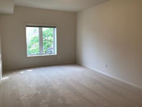 1277 E Thacker St #501, Des Plaines, IL 60016 photo 10