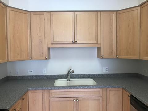 1277 E Thacker St #501, Des Plaines, IL 60016 photo 5