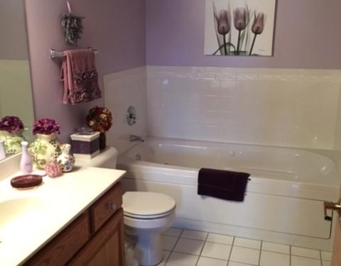 1327 E Washington St #403, Des Plaines, IL 60016 photo 7