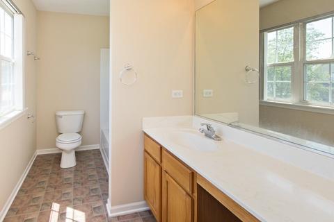 1413 Bluestem Ln, Minooka, IL 60447 photo 7
