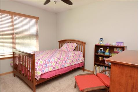 1804 Pinnacle Dr, Aurora, IL 60502 photo 28