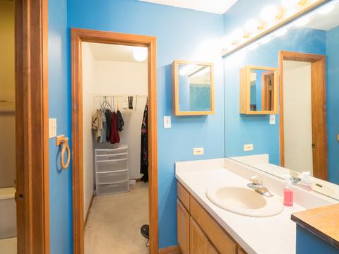 2825 Ruth Fitzgerald Dr, Plainfield, IL 60586 photo 9