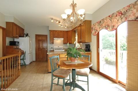 531 Fairway View Dr, Algonquin, IL 60102 photo 4