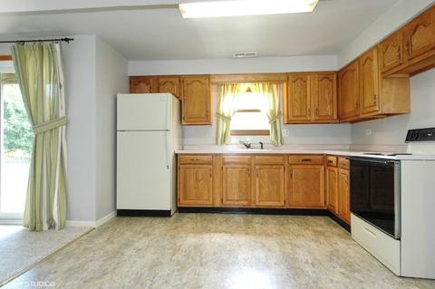 531 Fairway View Dr, Algonquin, IL 60102 photo 12