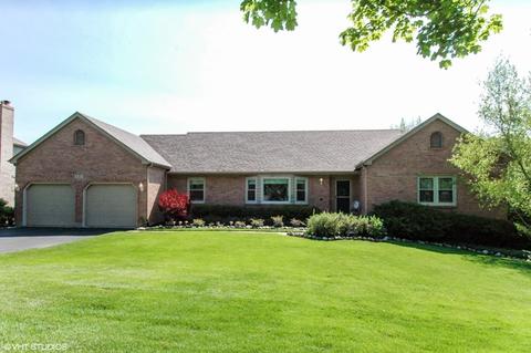531 Fairway View Dr, Algonquin, IL 60102 photo 1