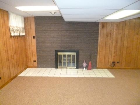 470 Orchard Ln, Beecher, IL 60401 photo 19