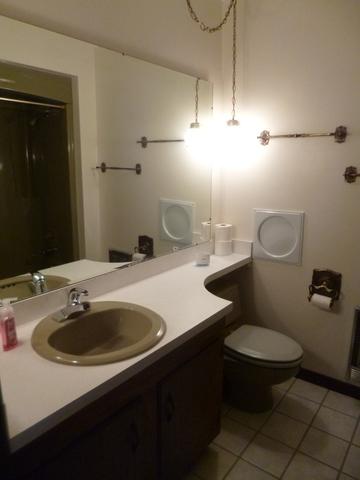 470 Orchard Ln, Beecher, IL 60401 photo 10