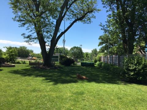 501 W Winfield St, Morrison, IL 61270 photo 24