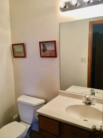 4 W Roberta St, Lemont, IL 60439 photo 20