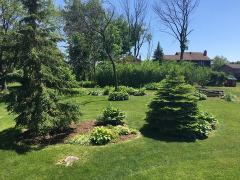 4 W Roberta St, Lemont, IL 60439 photo 27
