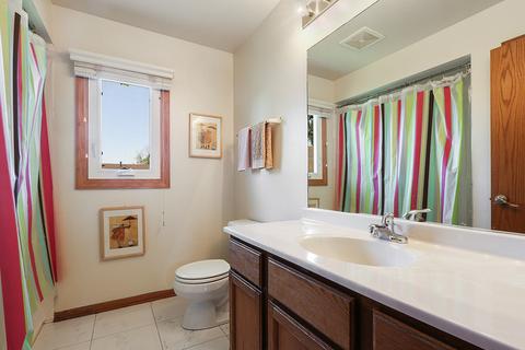 4 W Roberta St, Lemont, IL 60439 photo 16