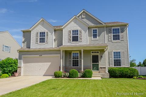 6509 Denali Ridge Dr, Plainfield, IL 60586 photo 1