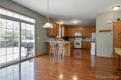 6509 Denali Ridge Dr, Plainfield, IL 60586 photo 4