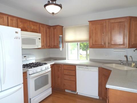 310 Royce Ln, Roselle, IL 60172 photo 5