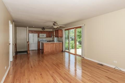 310 Royce Ln, Roselle, IL 60172 photo 6
