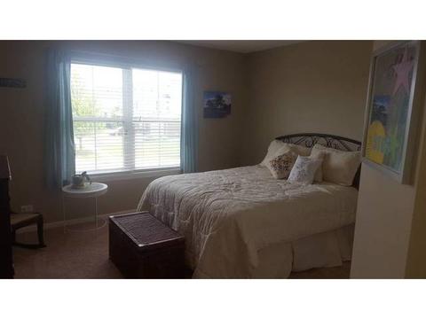 459 Dancer Ln, Oswego, IL 60543 photo 13