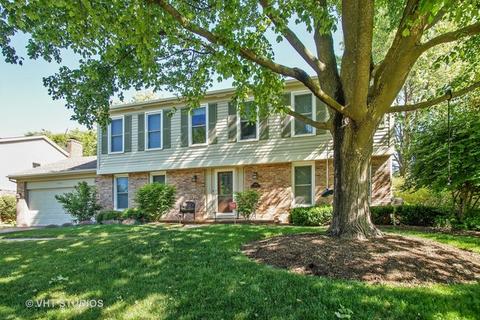 5406 Groveside Ln, Rolling Meadows, IL 60008 photo 1
