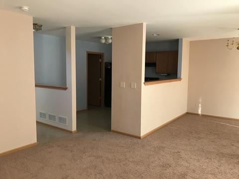 607 Chestnut Ridge Dr, Minooka, IL 60447 photo 8
