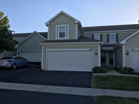 607 Chestnut Ridge Dr, Minooka, IL 60447 photo 1