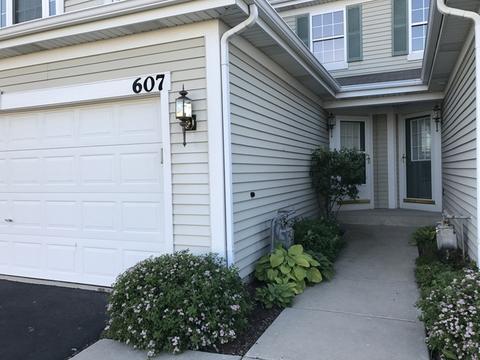 607 Chestnut Ridge Dr, Minooka, IL 60447 photo 3