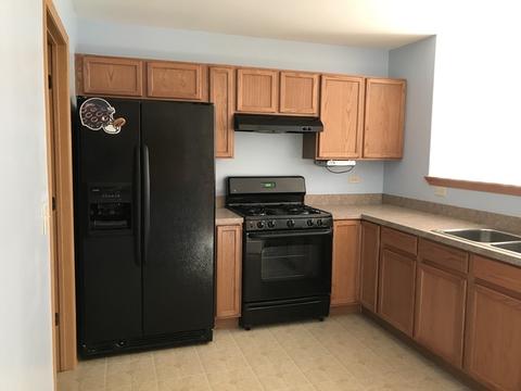 607 Chestnut Ridge Dr, Minooka, IL 60447 photo 4
