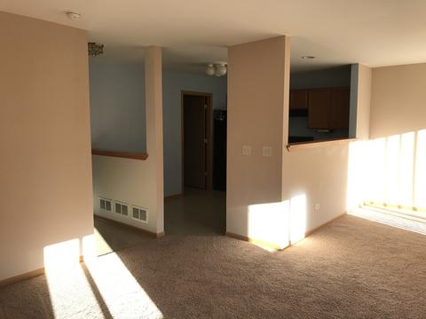 607 Chestnut Ridge Dr, Minooka, IL 60447 photo 7