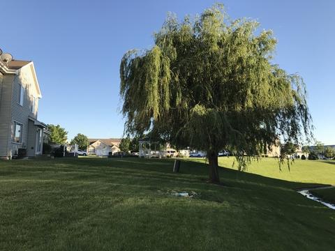 607 Chestnut Ridge Dr, Minooka, IL 60447 photo 32