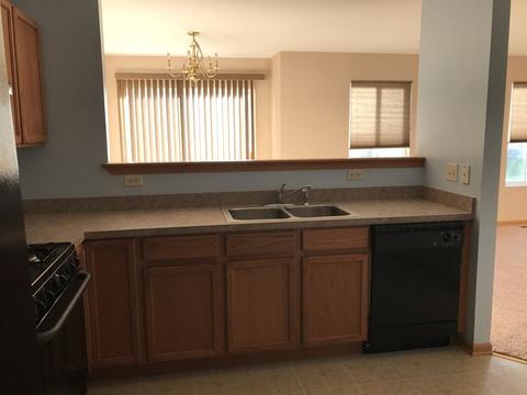 607 Chestnut Ridge Dr, Minooka, IL 60447 photo 6