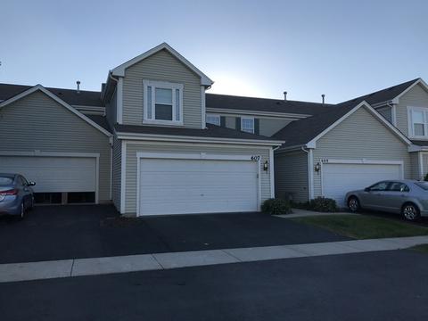 607 Chestnut Ridge Dr, Minooka, IL 60447 photo 2