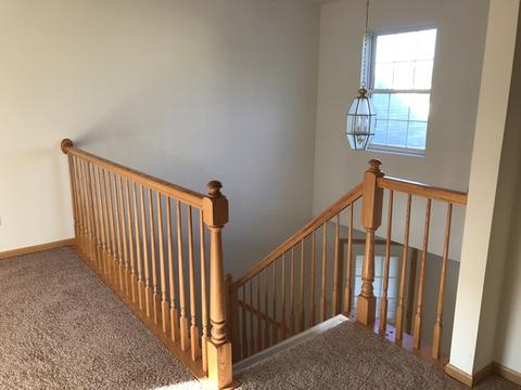 607 Chestnut Ridge Dr, Minooka, IL 60447 photo 15