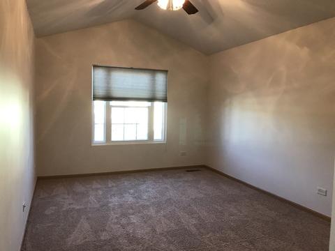607 Chestnut Ridge Dr, Minooka, IL 60447 photo 19