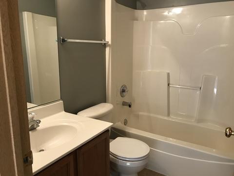 607 Chestnut Ridge Dr, Minooka, IL 60447 photo 17