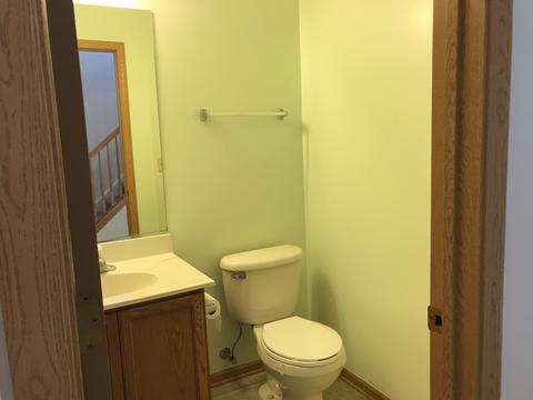 607 Chestnut Ridge Dr, Minooka, IL 60447 photo 11