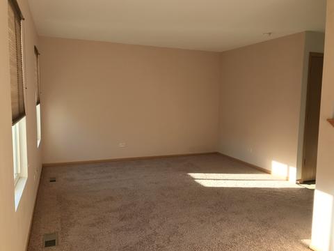 607 Chestnut Ridge Dr, Minooka, IL 60447 photo 10