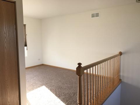 607 Chestnut Ridge Dr, Minooka, IL 60447 photo 14