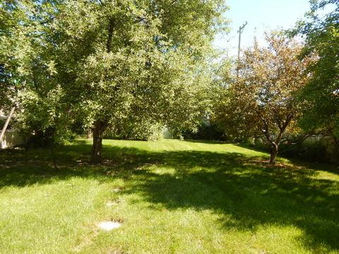 2448 183rd St, Lansing, IL 60438 photo 22