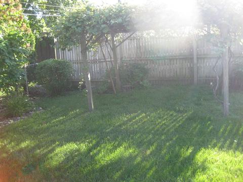 7451 W 75th St, Bridgeview, IL 60455 photo 3