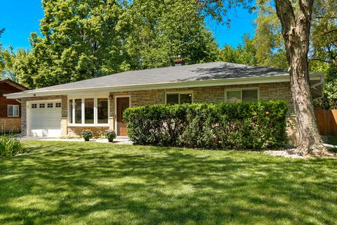 720 Olive St, Hoffman Estates, IL 60169 photo 2