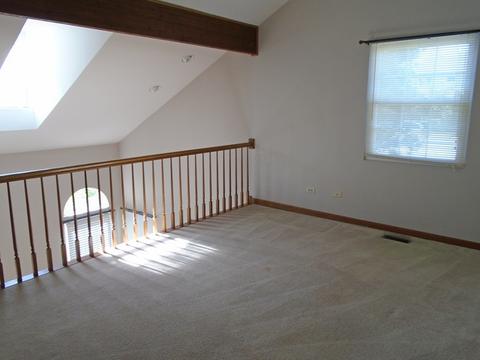 3212 Anton Dr, Aurora, IL 60504 photo 20