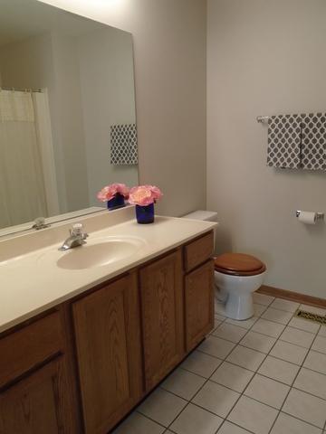 3212 Anton Dr, Aurora, IL 60504 photo 15