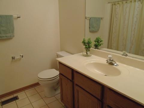 3212 Anton Dr, Aurora, IL 60504 photo 17