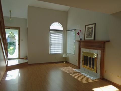 3212 Anton Dr, Aurora, IL 60504 photo 11