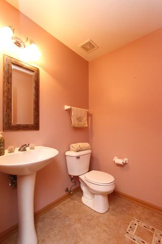 330 Diamond Back Way, Algonquin, IL 60102 photo 9