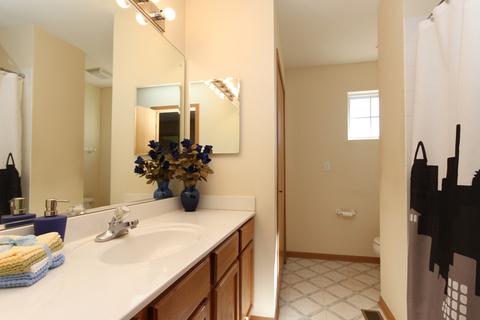 330 Diamond Back Way, Algonquin, IL 60102 photo 17