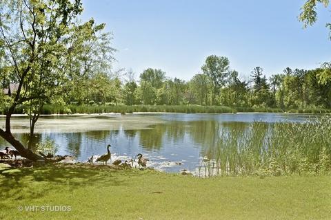 201 Hillcrest Ln, Steger, IL 60475 photo 19